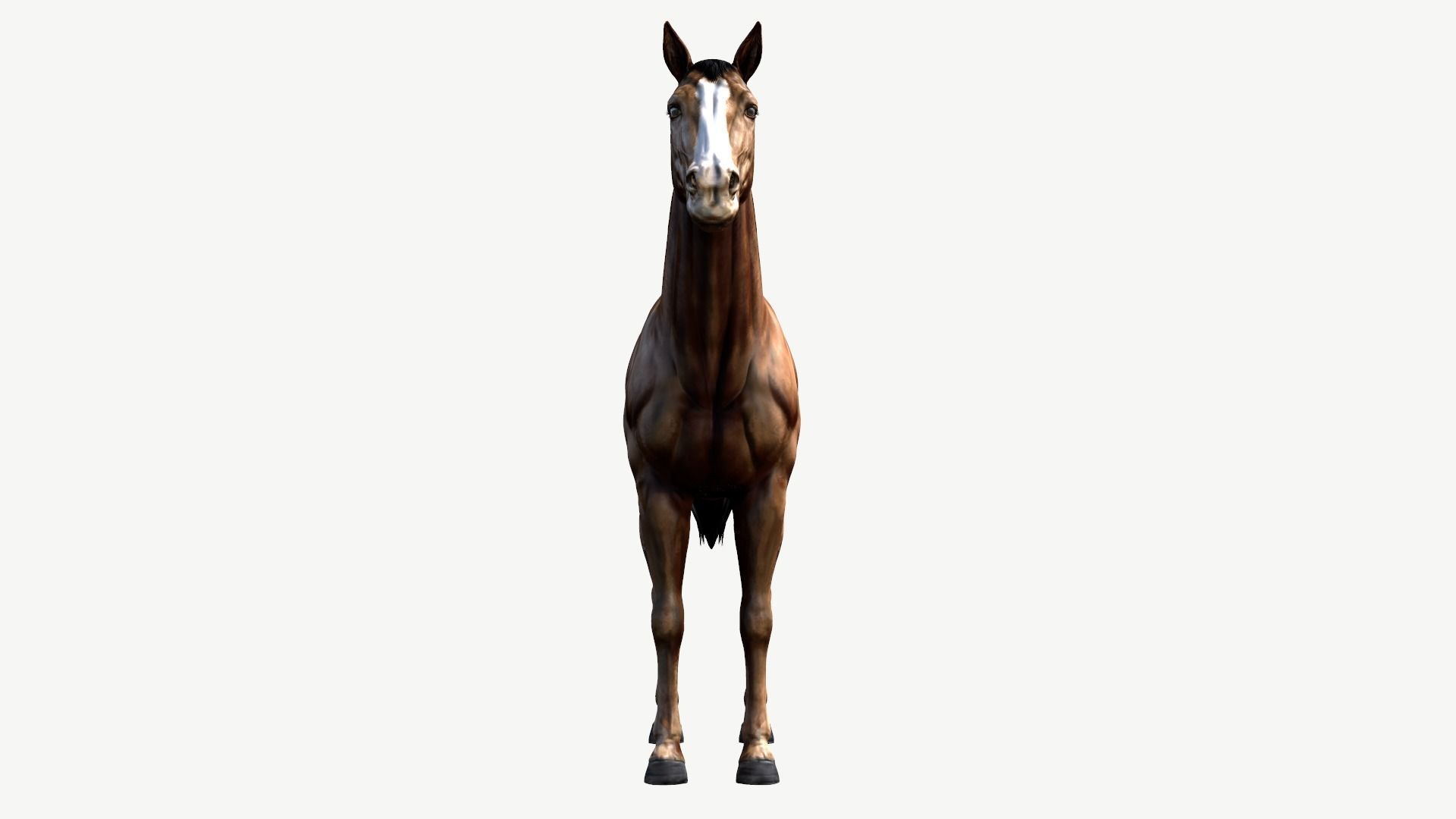 Horse Low-poly 3D model_8