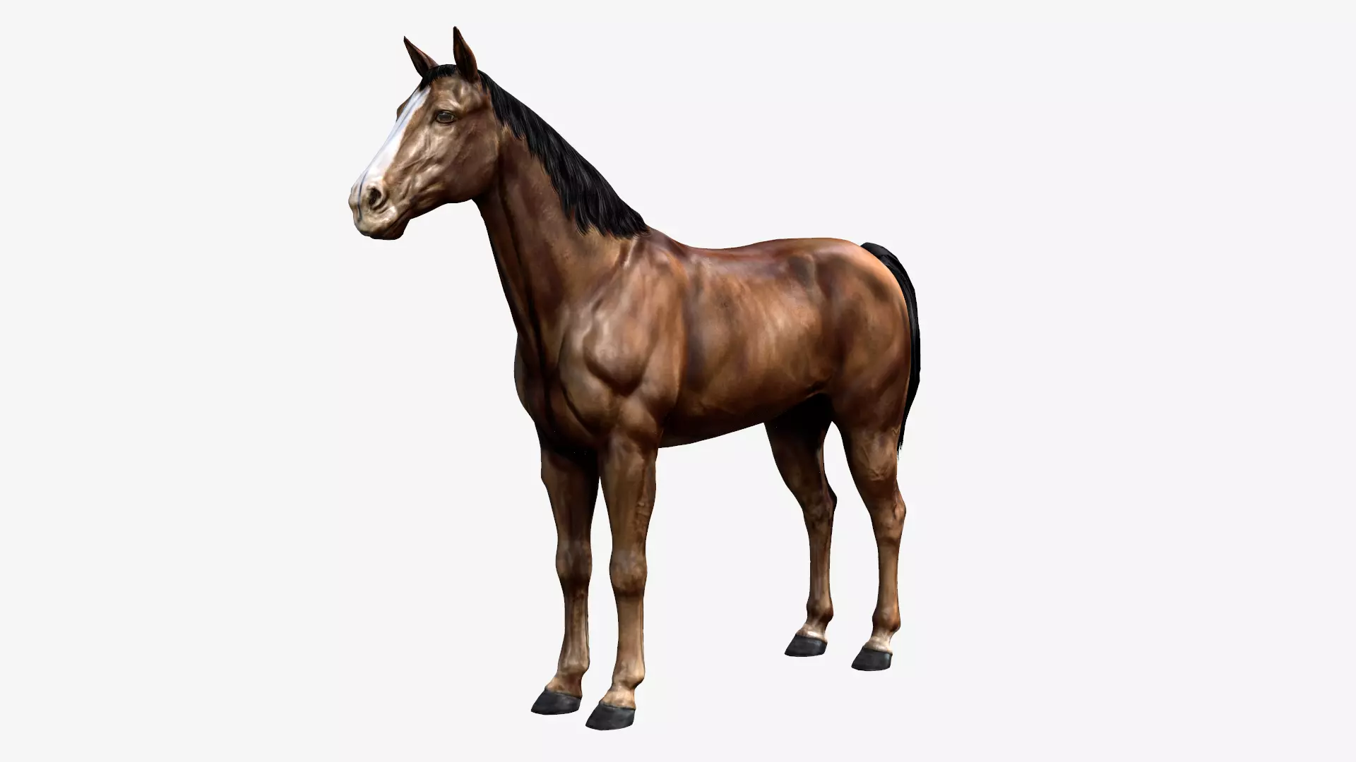 Horse Low-poly 3D model_0