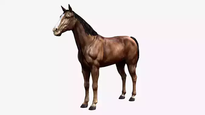 Horse Low-poly 3D model Horse Low-poly 3D model