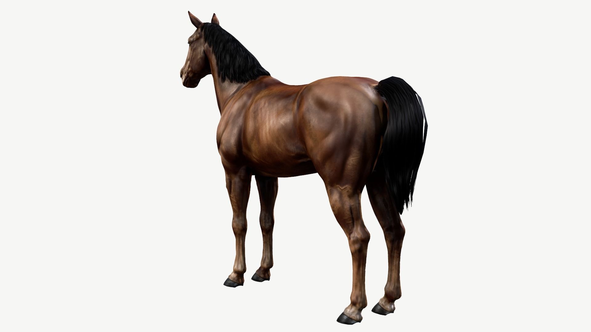 Horse Low-poly 3D model_4