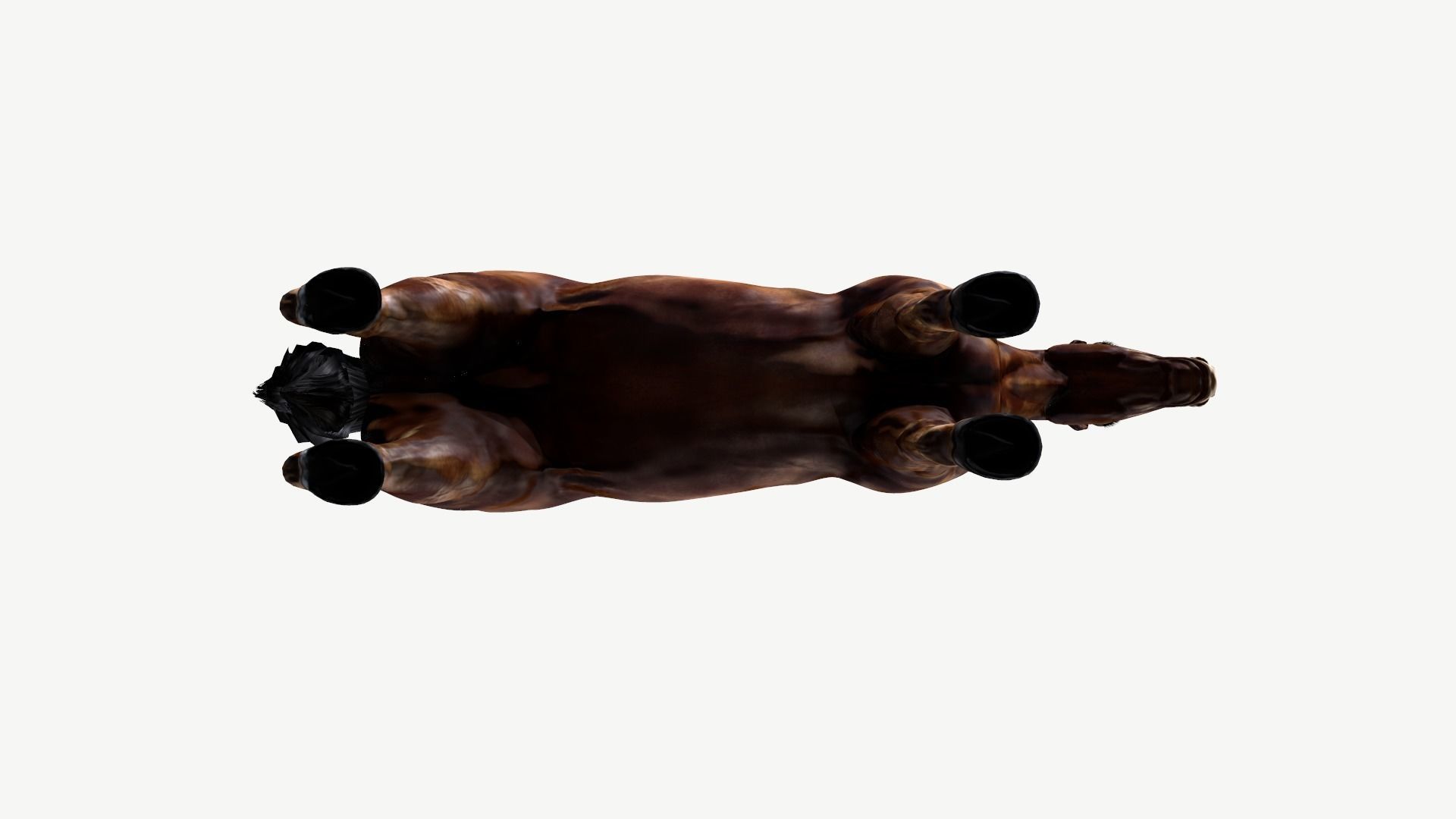 Horse Low-poly 3D model_10