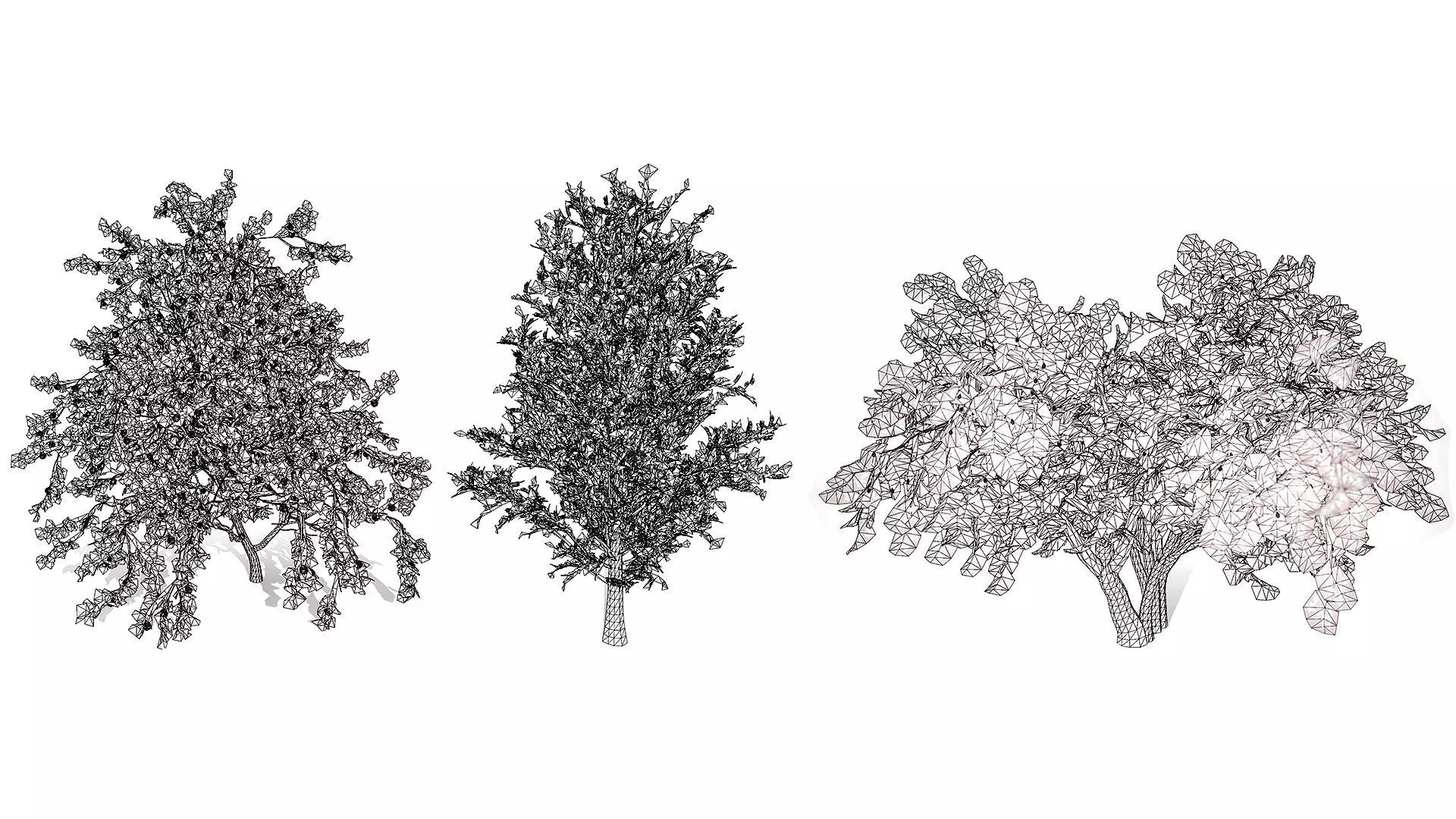 British Plymouth Pear Tree Collection Low-poly 3D model_10