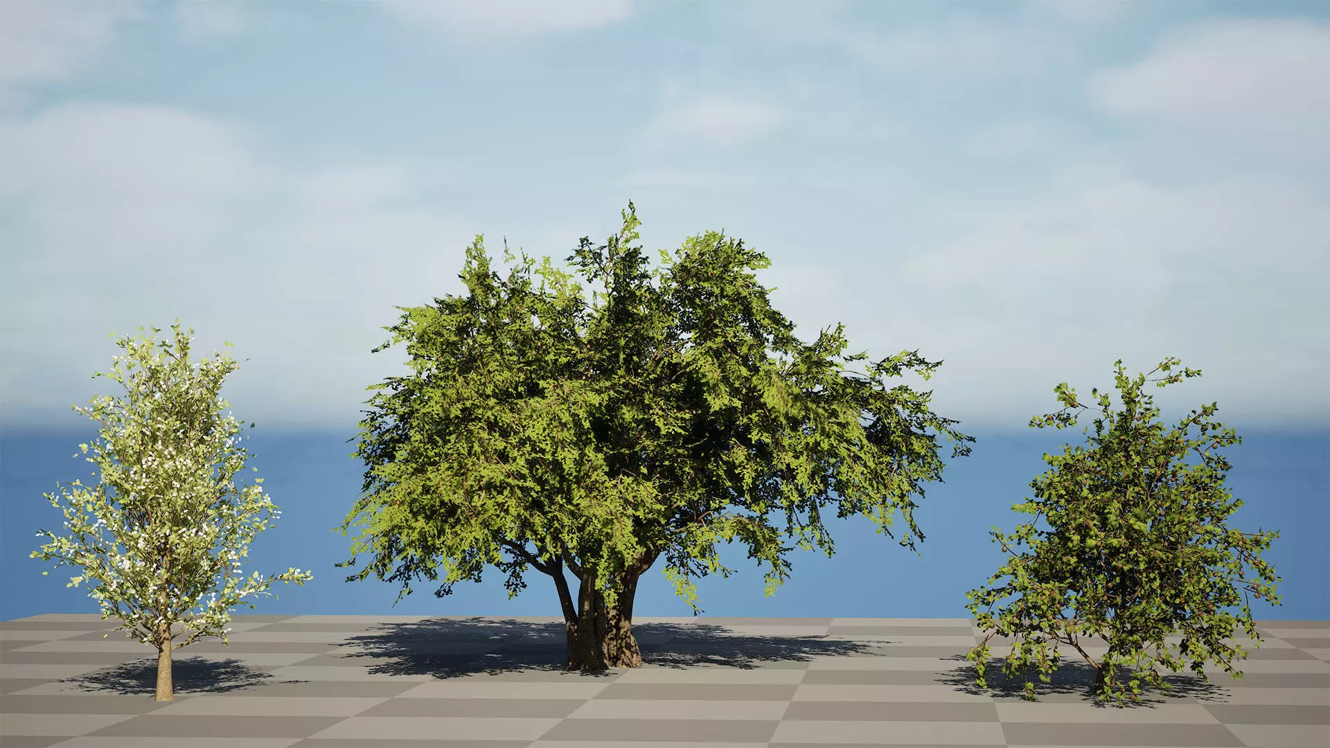 British Plymouth Pear Tree Collection Low-poly 3D model_5