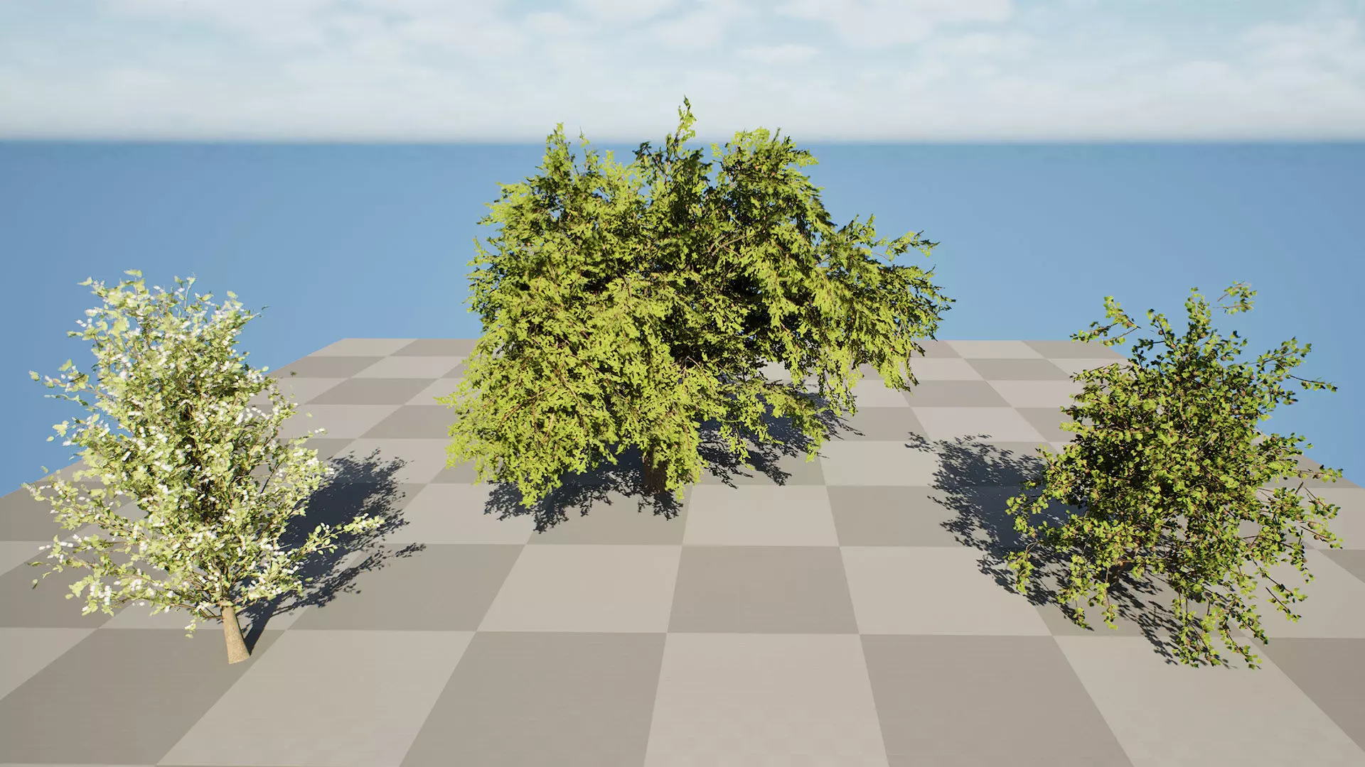 British Plymouth Pear Tree Collection Low-poly 3D model_6