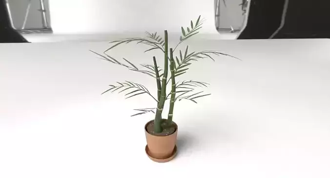Stylized Low-Poly Bamboo Palm Plant