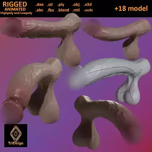 Stylized Uncircumsiced Penis Rigged