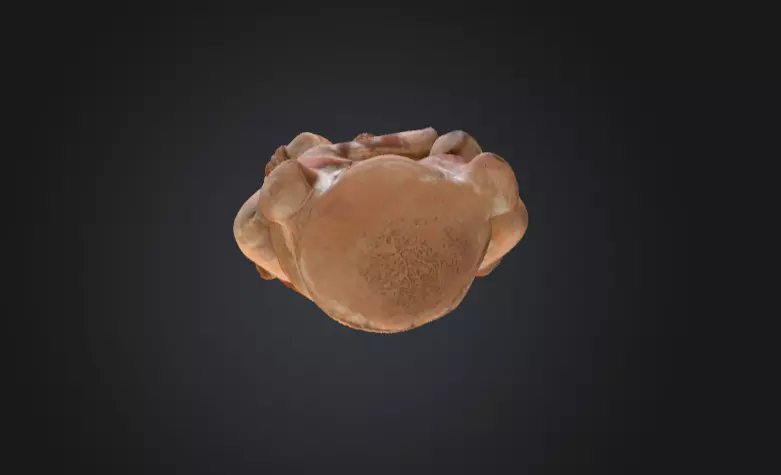 Aztec Sculpture Low-poly 3D model_15