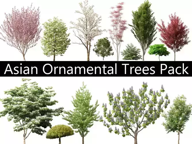 Asian Ornamental Trees Pack 21
