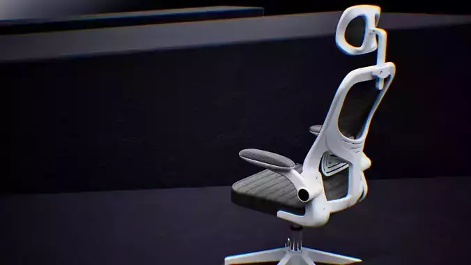 Ergonomic Office Chair