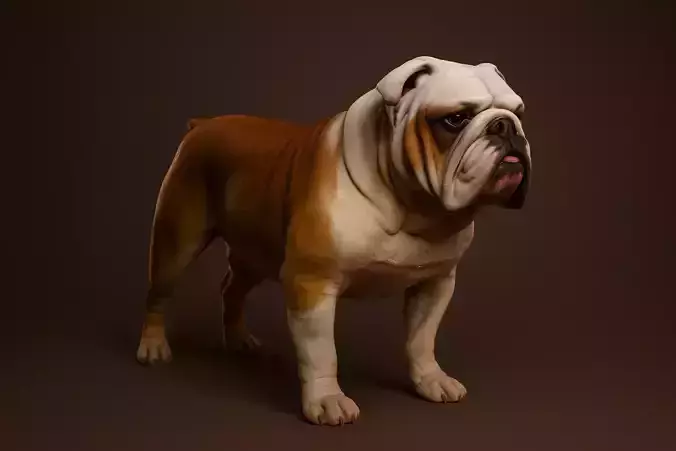 English Bulldog DOG 3D MODEL