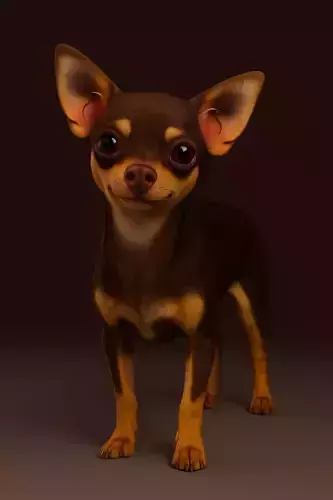 3D Model Dog Chihuahua 
