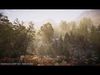 Realistic Valley Forest Landscape Pack Low-poly 3D model_1