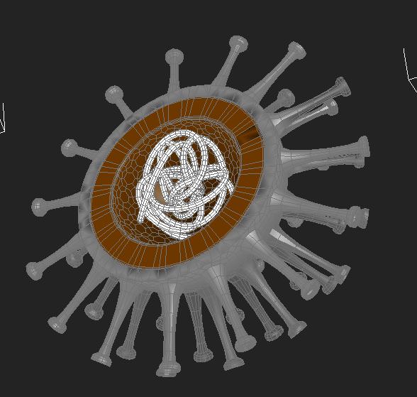 Flu Virus 3D model_2