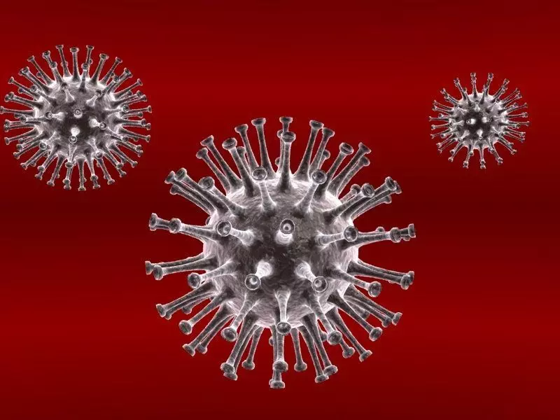 Flu Virus 3D model_0