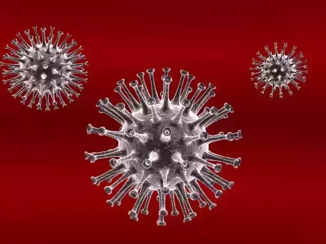 Flu Virus 3D model