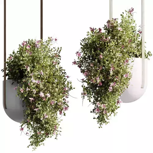 Hanging Flower Plant and Pot Lamp - Houseplant 685