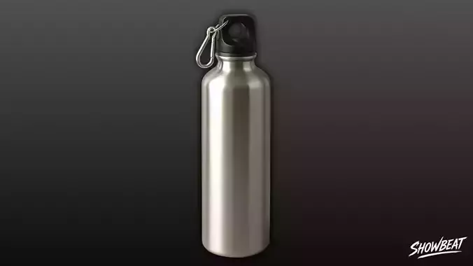 Stainless Steel Water Bottle with Carabiner