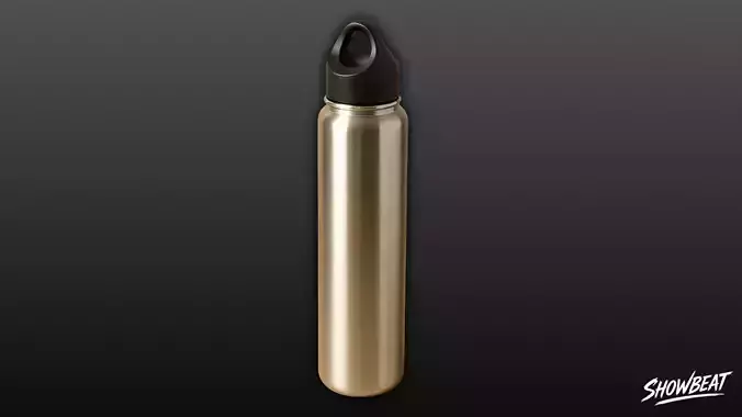 Stainless Steel Water Bottle