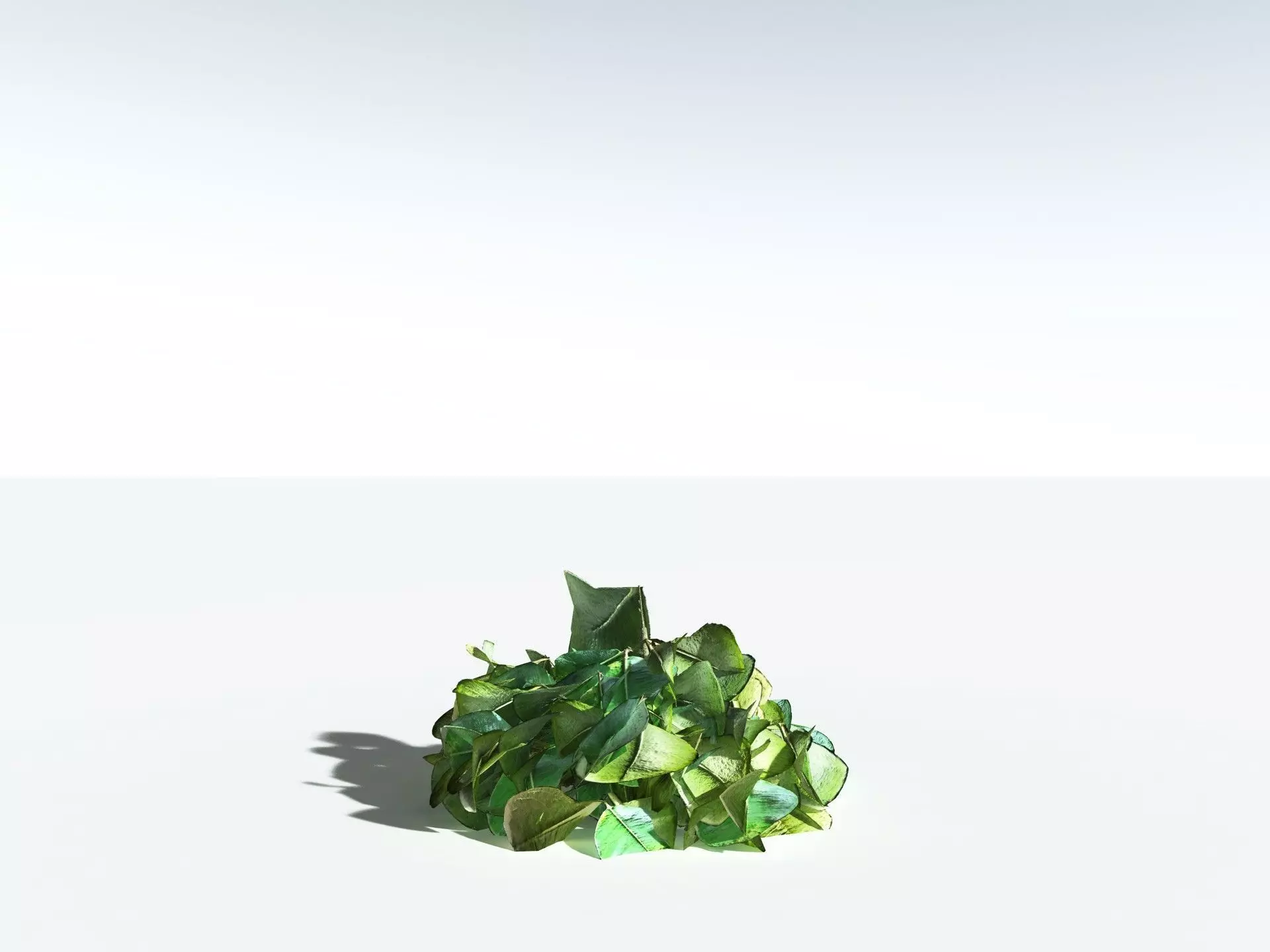 EVERYPlant Beach Cabbage 3D model_29