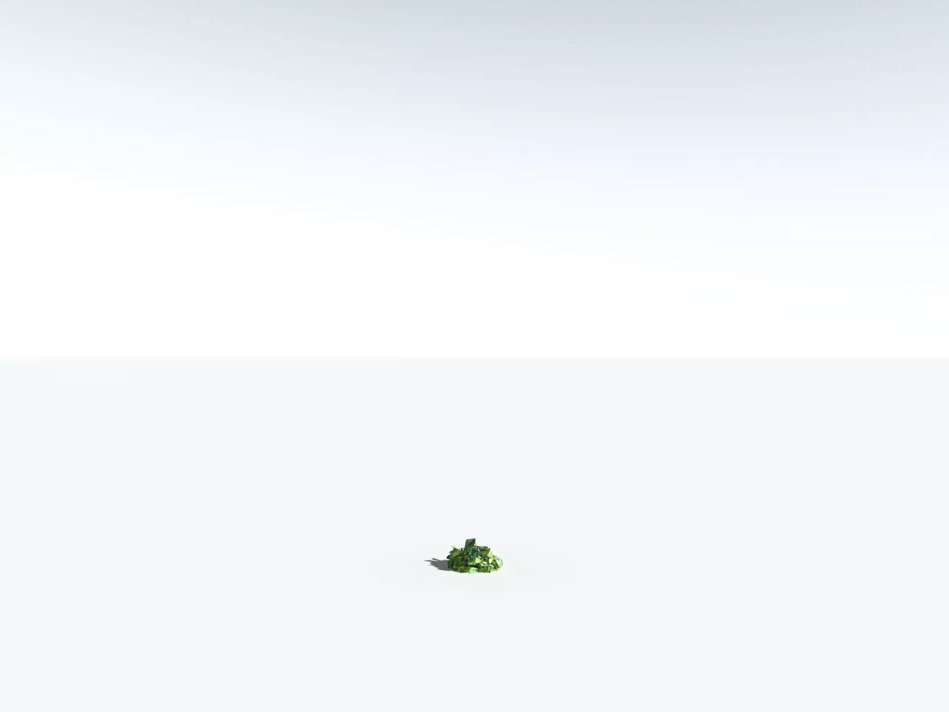 EVERYPlant Beach Cabbage 3D model_28