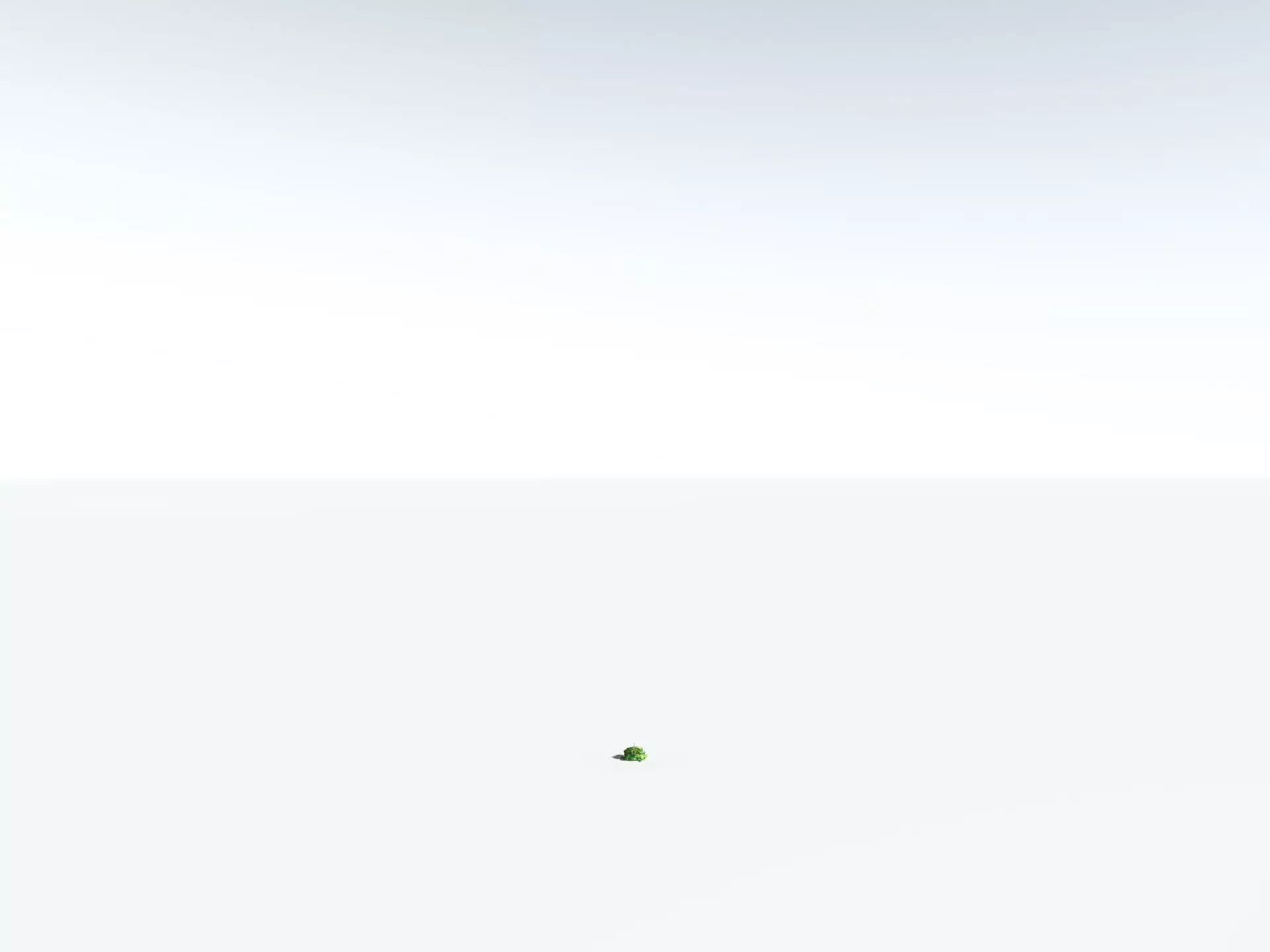 EVERYPlant Beach Cabbage 3D model_30