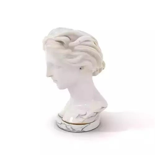White Marble Bust model pack