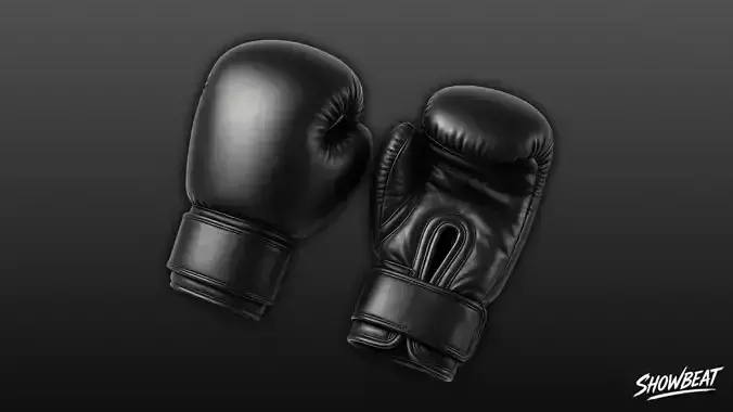 Black Boxing Gloves