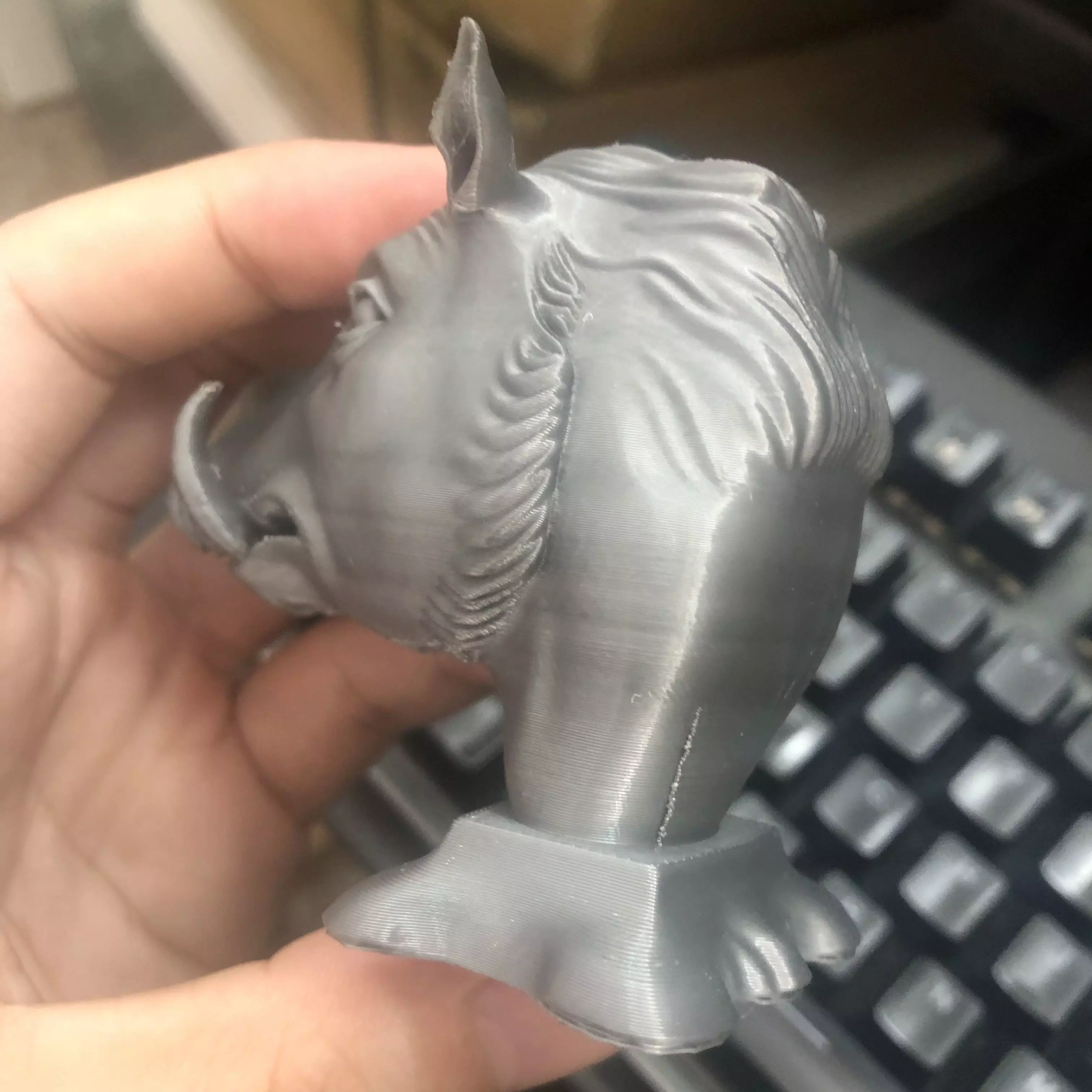 Wild boar 3D print model_15
