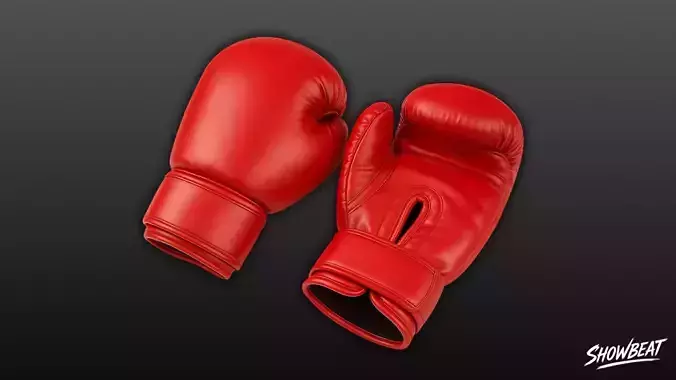 Red Boxing Gloves