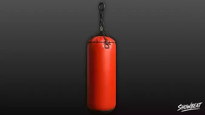 Red Heavy Bag