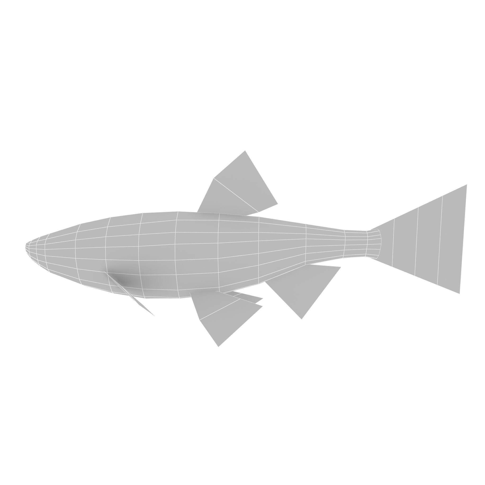 Chub fish Low-poly 3D model_10