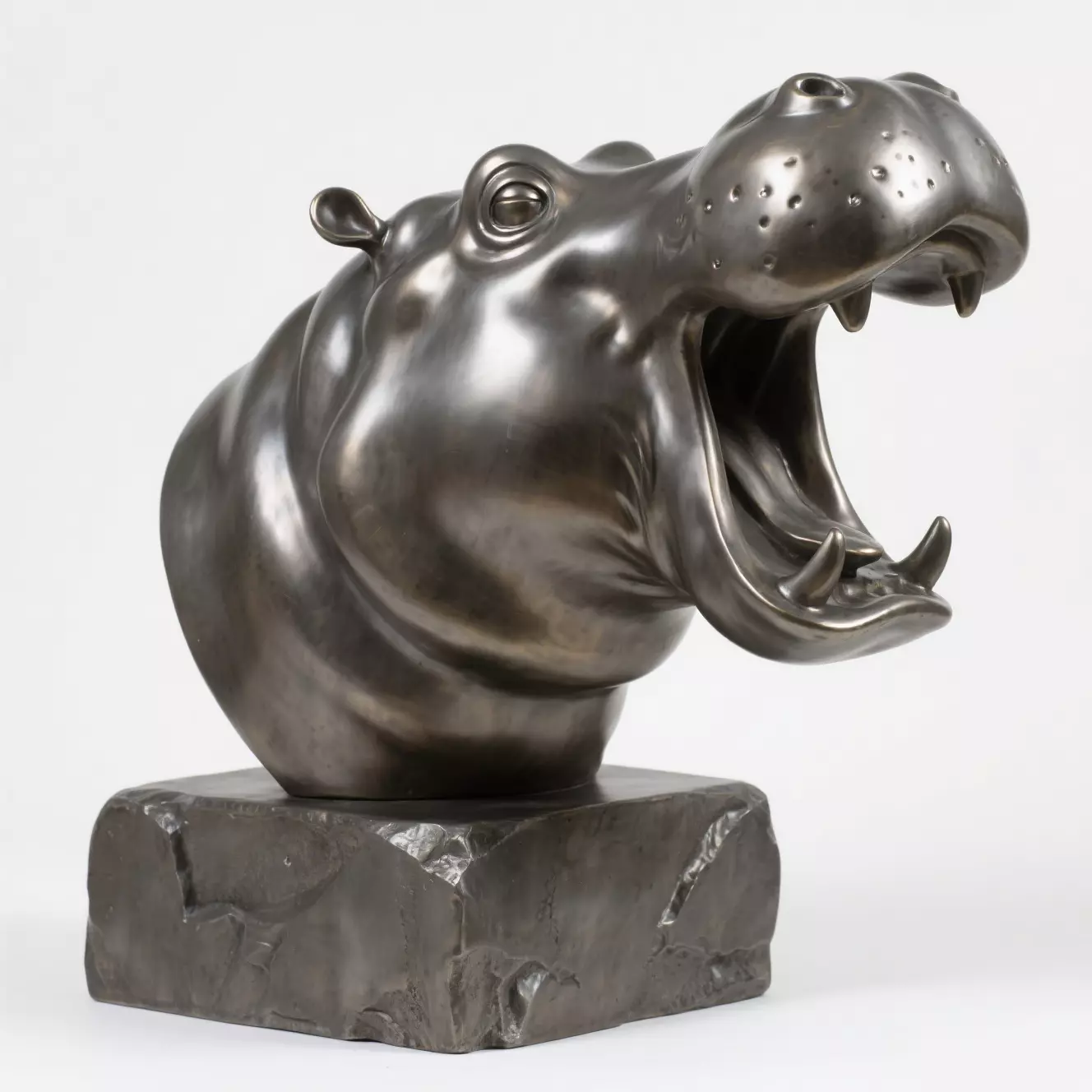 Hippopotamus head sculpture 3D print model_0