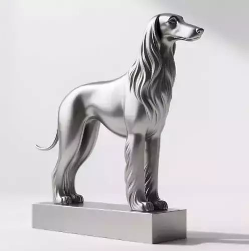 Afghan Hound