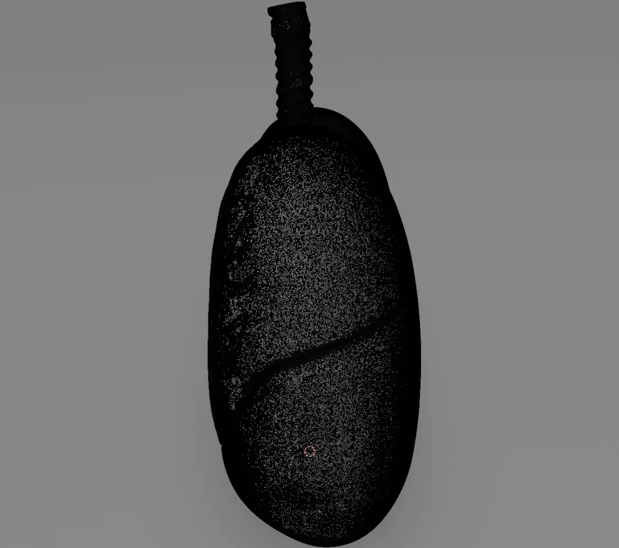 Human Lungs 3D Model Realistic Anatomical Organ 3D model_14