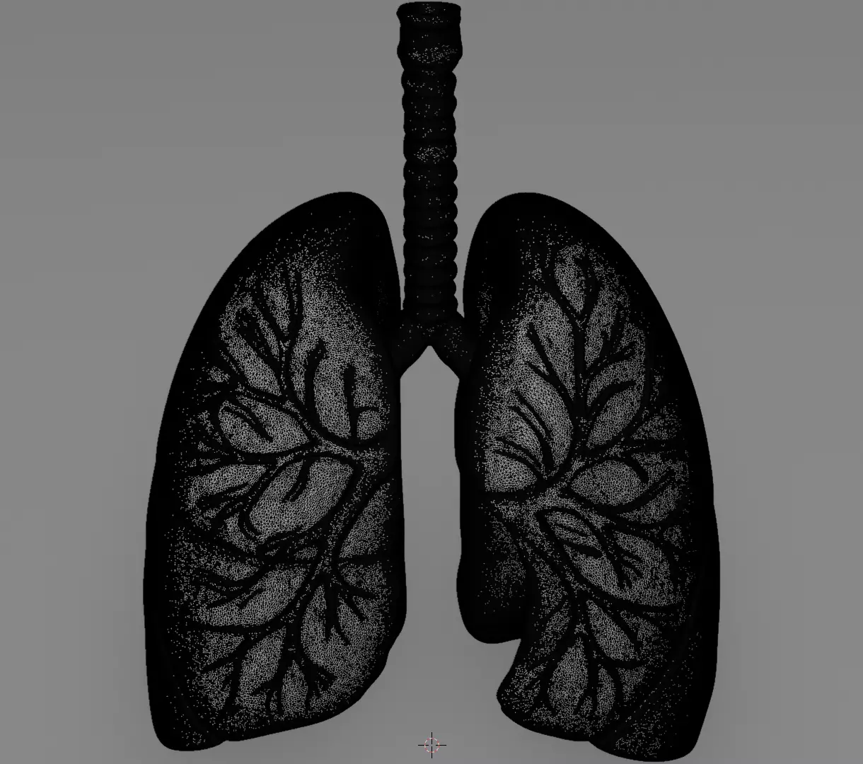 Human Lungs 3D Model Realistic Anatomical Organ 3D model_11