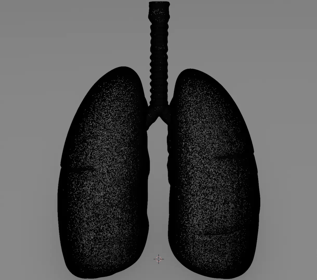 Human Lungs 3D Model Realistic Anatomical Organ 3D model_15