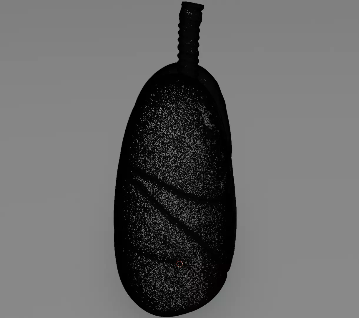 Human Lungs 3D Model Realistic Anatomical Organ 3D model_13