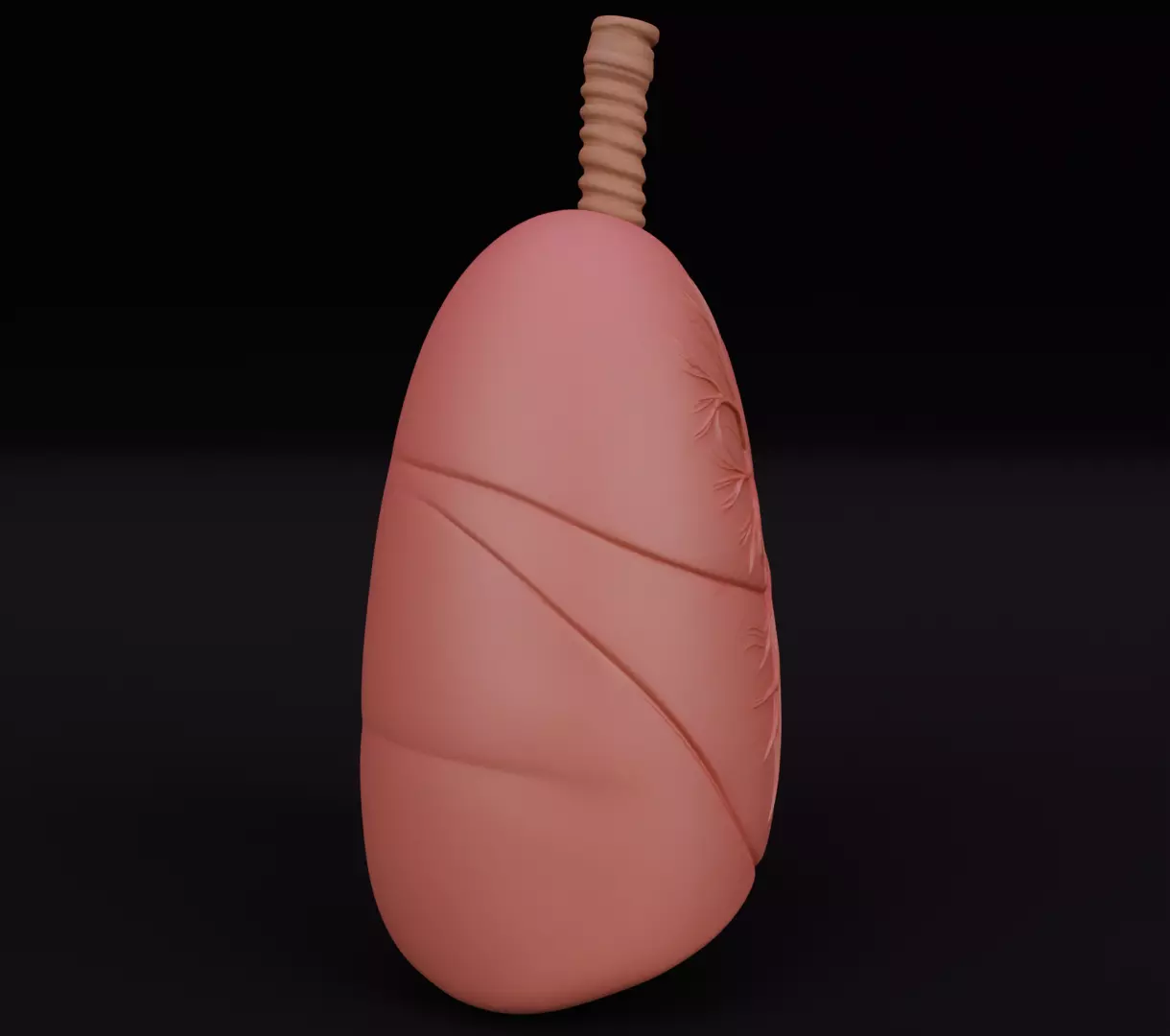 Human Lungs 3D Model Realistic Anatomical Organ 3D model_4