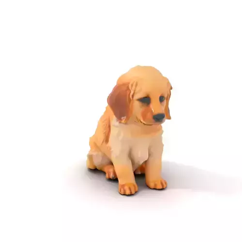 Golden Retriever Puppy model pack Low-poly 3D model