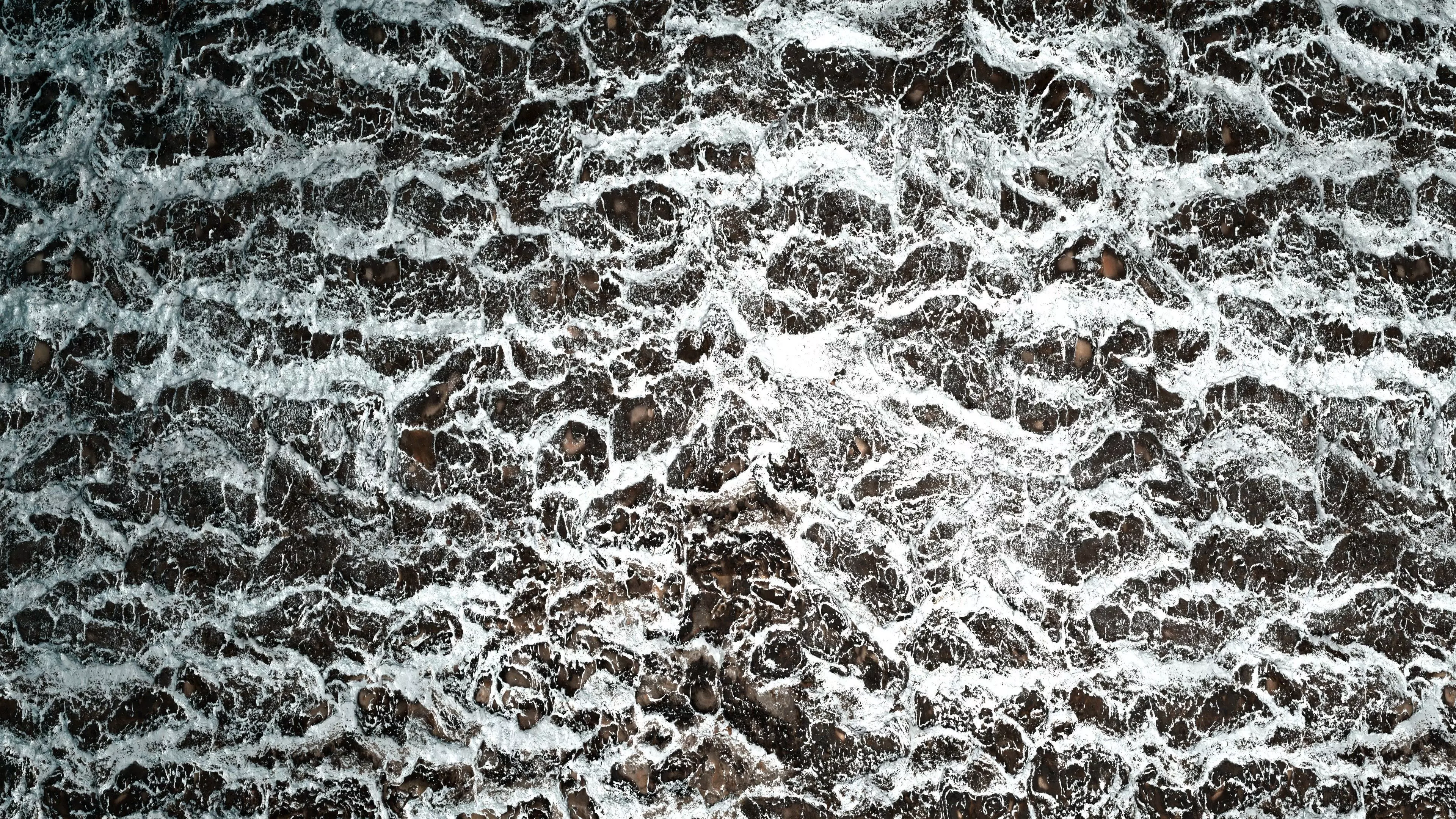 Frosty Tree Bark 8K PBR Texture Texture_6