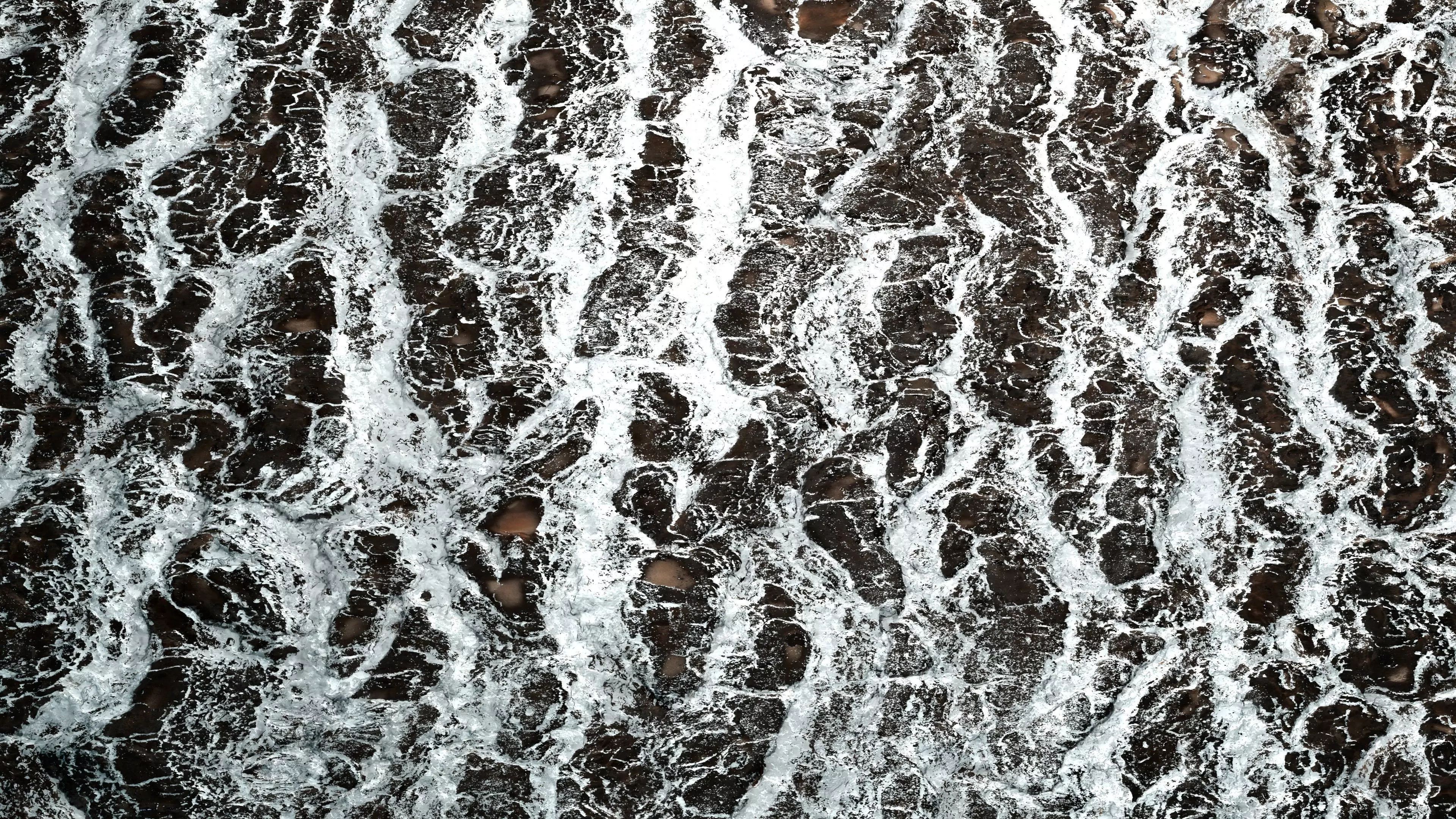 Frosty Tree Bark 8K PBR Texture Texture_2