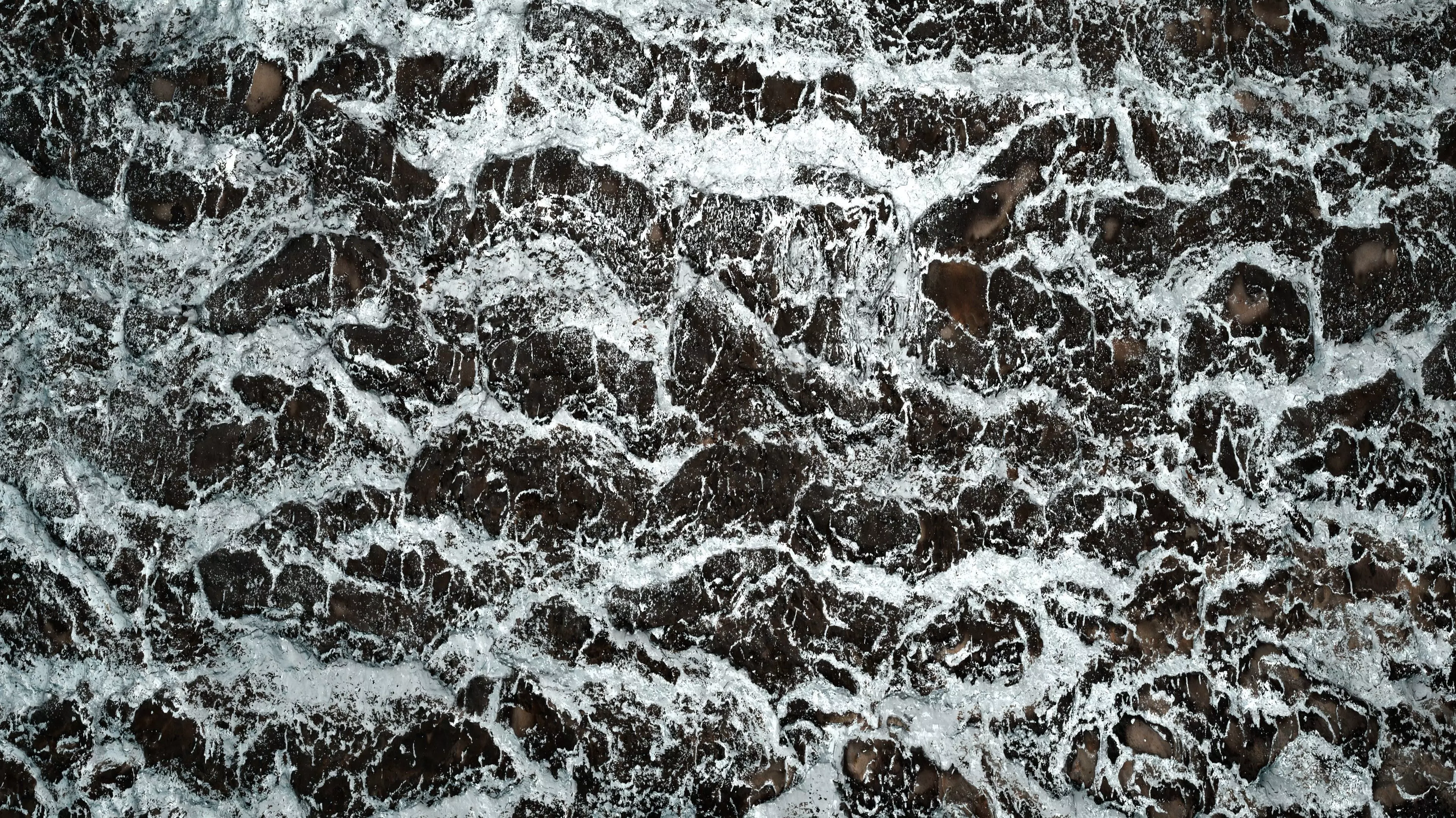 Frosty Tree Bark 8K PBR Texture Texture_5