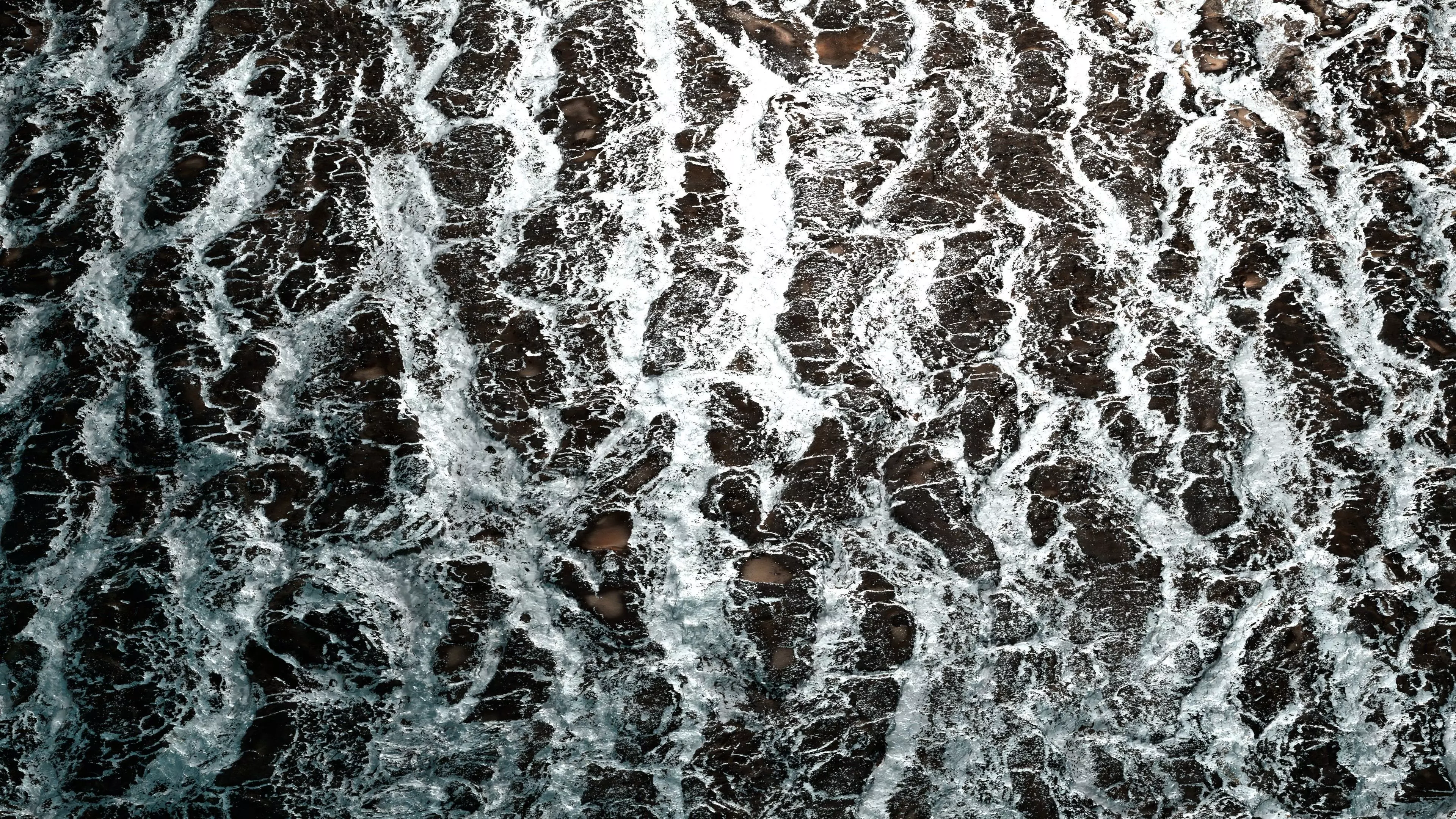 Frosty Tree Bark 8K PBR Texture Texture_0