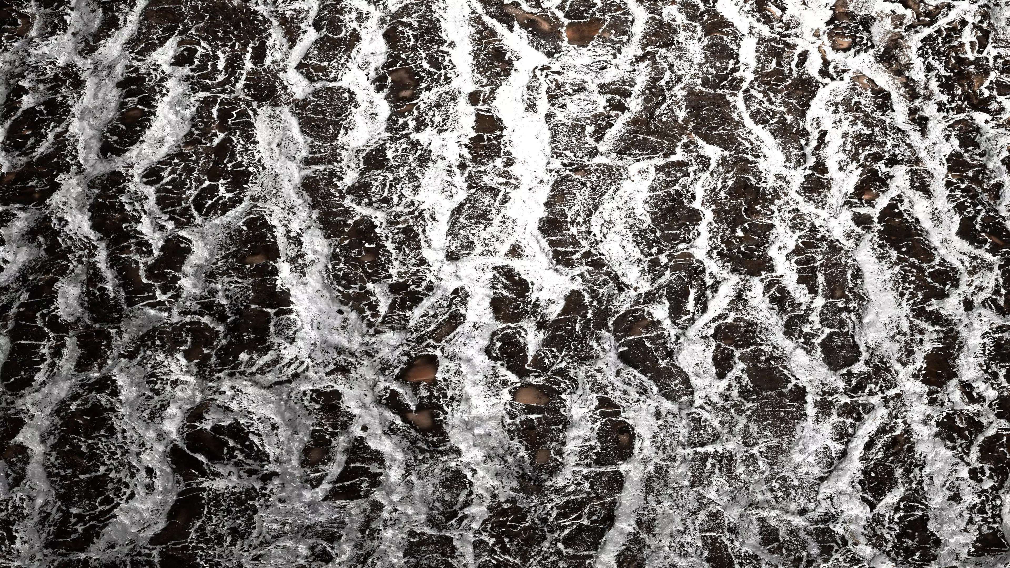 Frosty Tree Bark 8K PBR Texture Texture_1