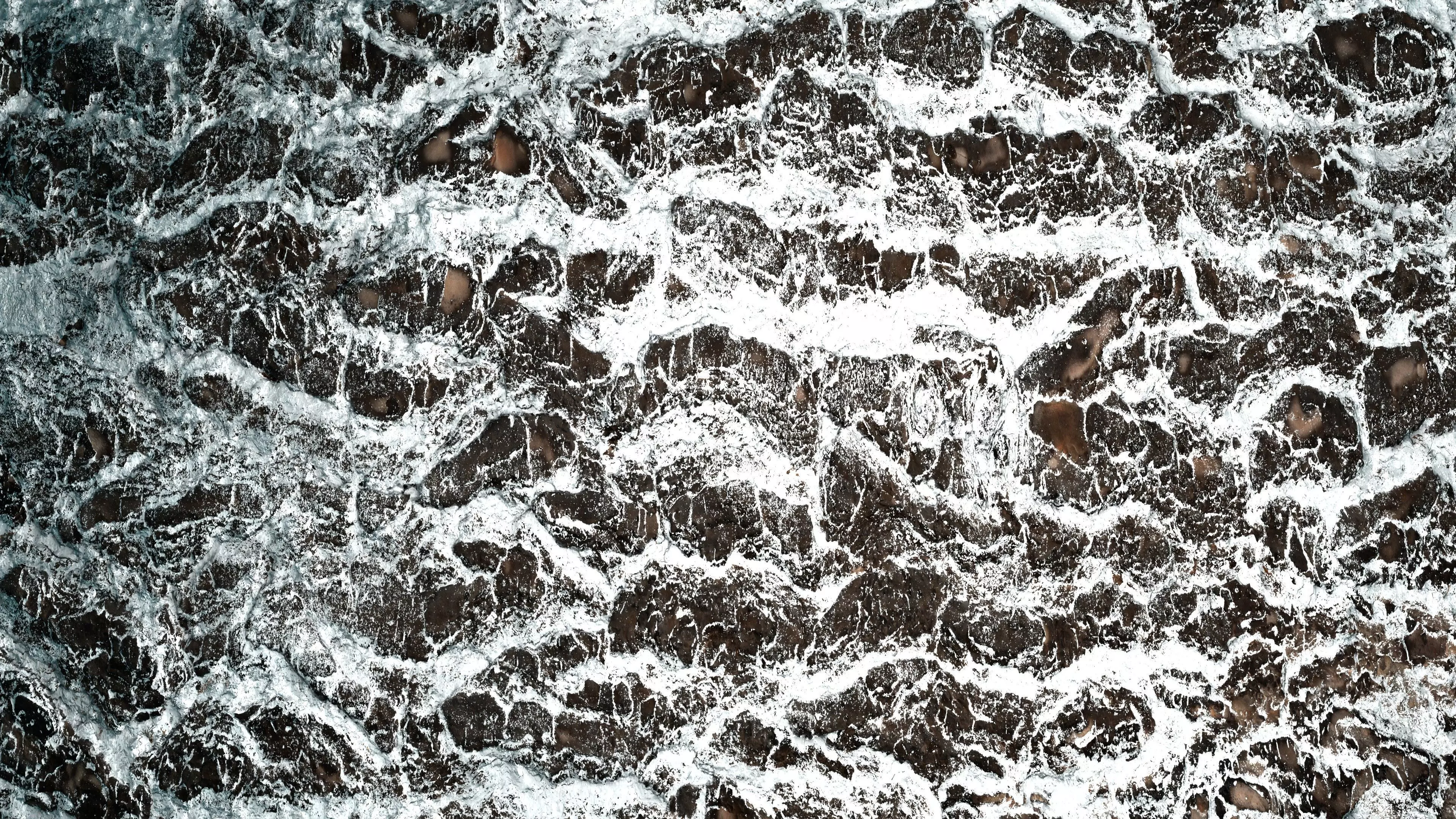 Frosty Tree Bark 8K PBR Texture Texture_3