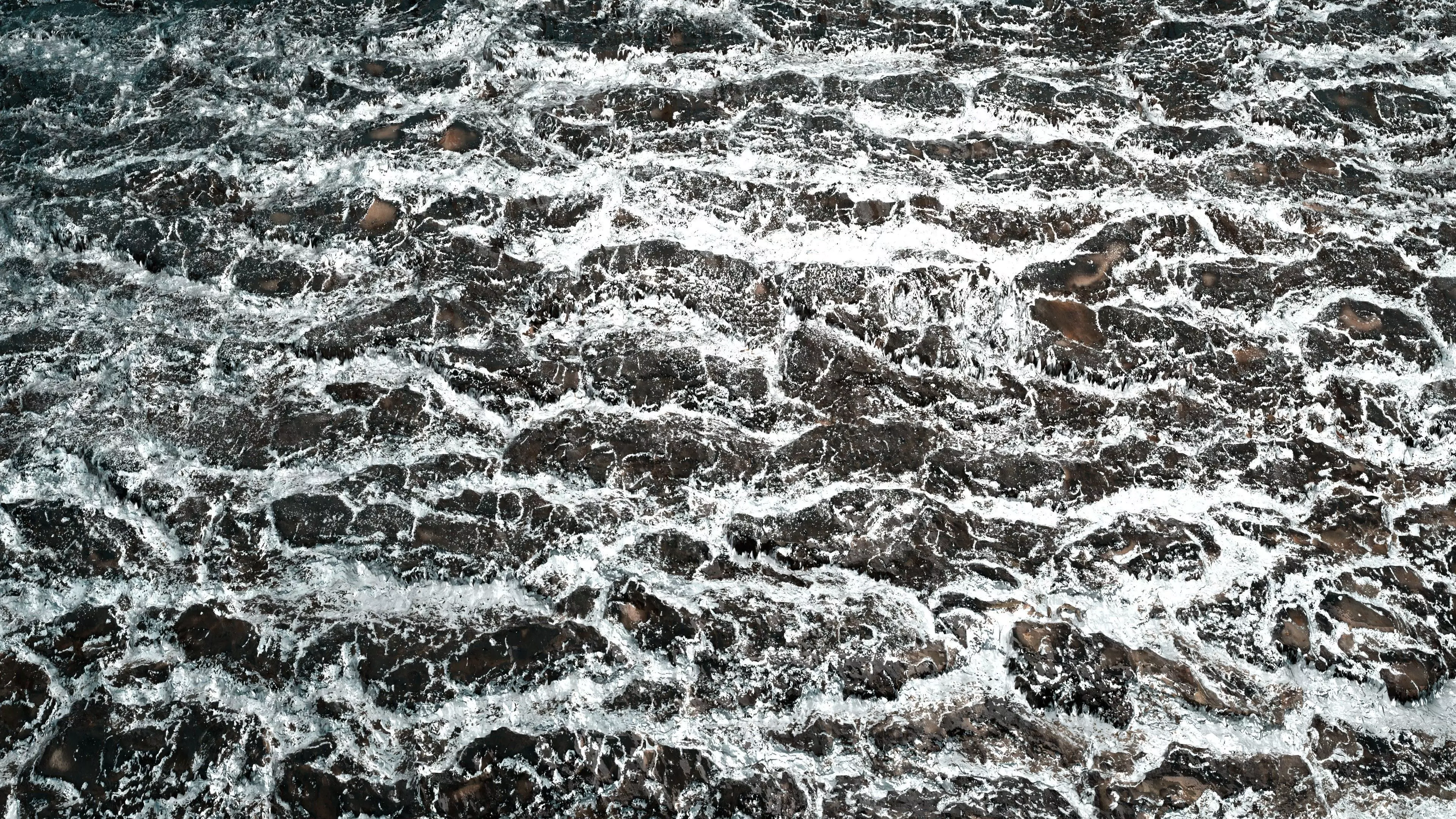 Frosty Tree Bark 8K PBR Texture Texture_4