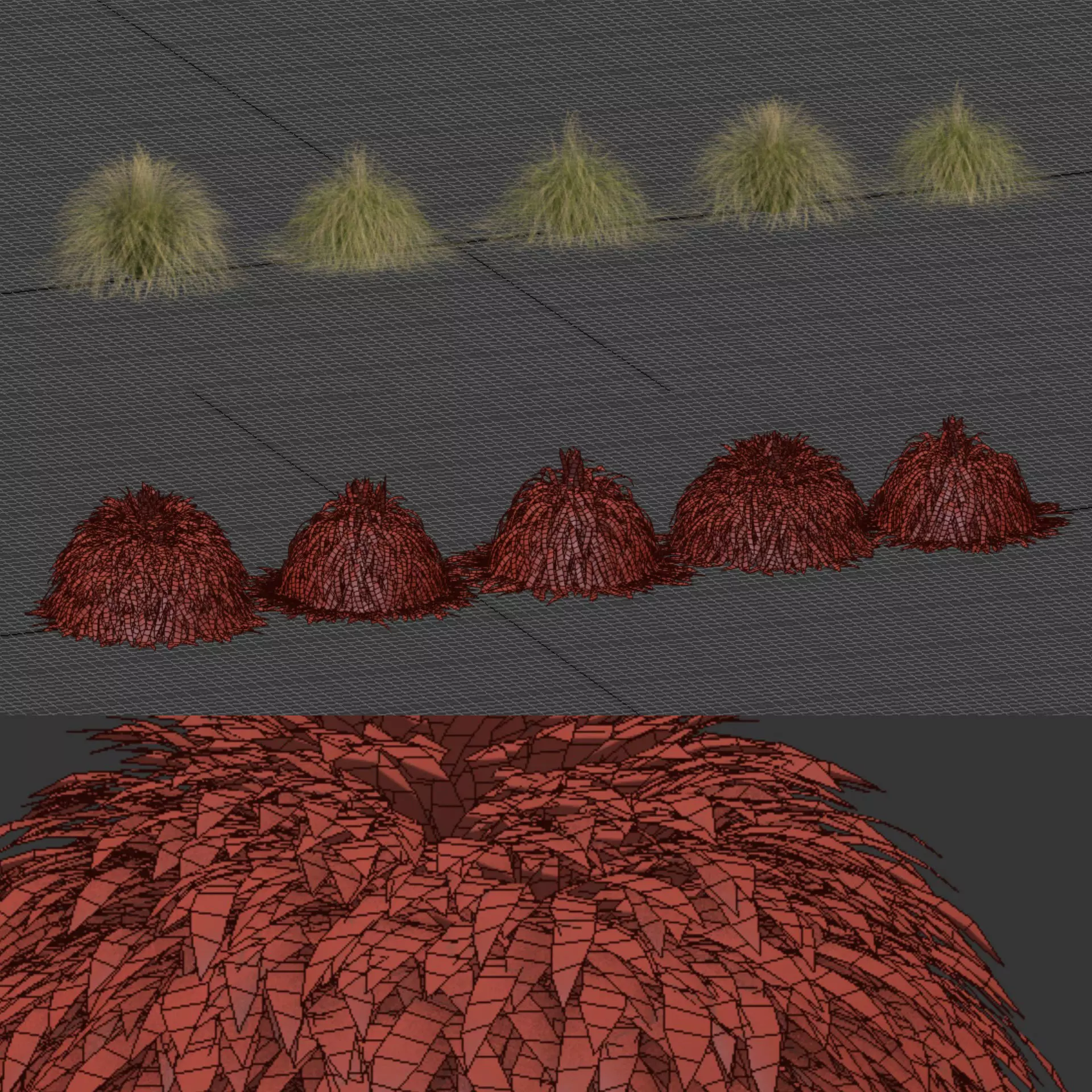 Maiden Grass Collection Vol 312 3D model_7