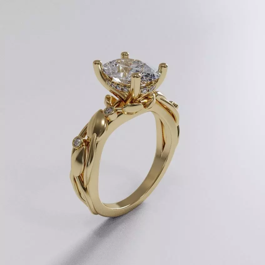 Nice ring 0001 3D print model_1