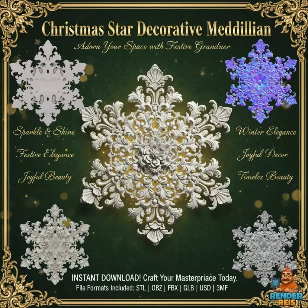 Christmas Star Decorative Medallion 3D Model 3D print model_0