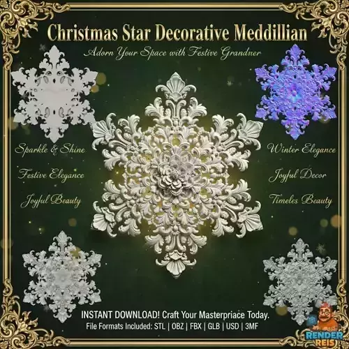 Christmas Star Decorative Medallion 3D Model 3D print model